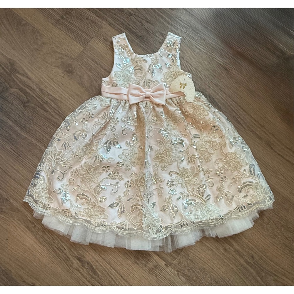American Princess Girls Blush Pink Sequin Floral Lace Party Dress Size 4 NWT